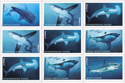 Sharks Forever Stamps (1 Sheet) 20 Stamps